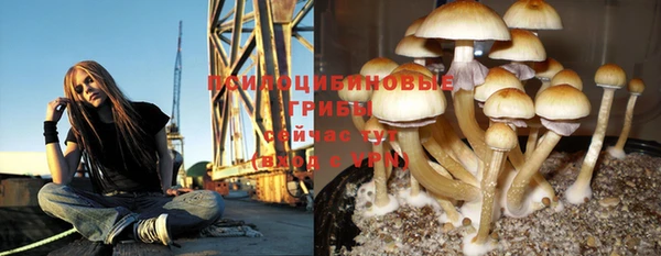 COCAINE Михайлов