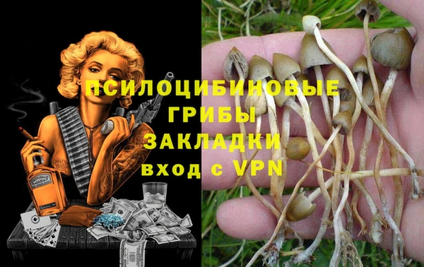 бутират Михайловка